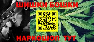 крисы Можга