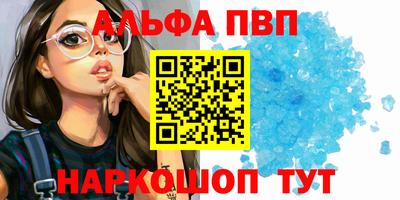 крисы Можга