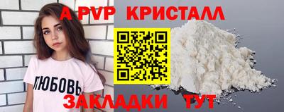 крисы Можга