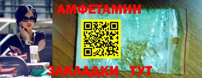 крисы Можга