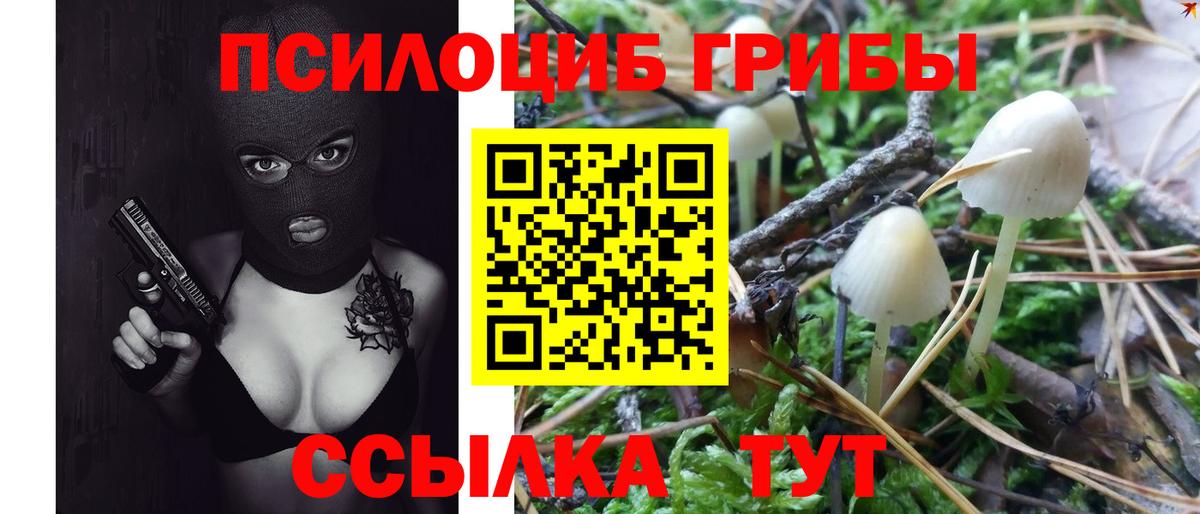 Псилоцибиновые грибы прущие грибы  Вход с VPN  Севастополь  Галлюциногенные грибы мицелий 